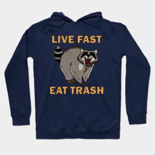 Raccoon - Live Fast Eat Trash Hoodie